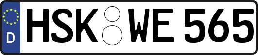 HSK-WE565