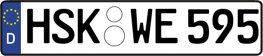 HSK-WE595