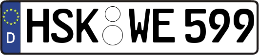 HSK-WE599