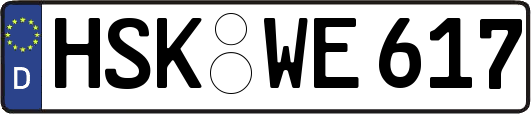 HSK-WE617