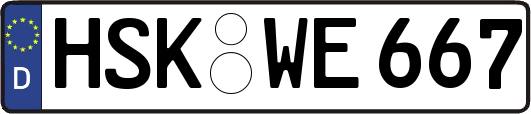 HSK-WE667