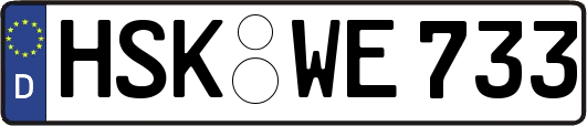 HSK-WE733