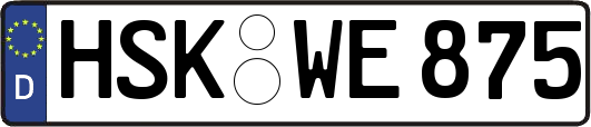 HSK-WE875