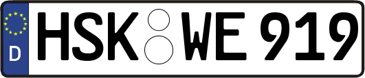 HSK-WE919