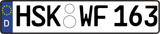 HSK-WF163