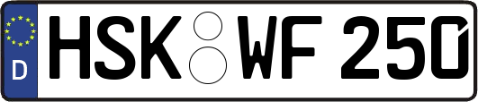 HSK-WF250
