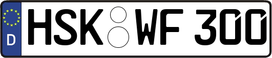 HSK-WF300