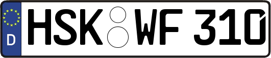 HSK-WF310