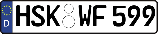 HSK-WF599