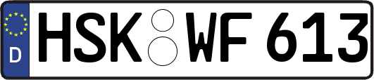 HSK-WF613
