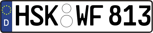 HSK-WF813
