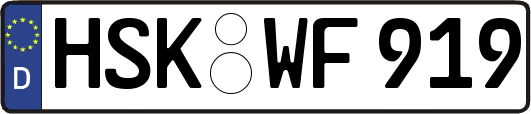 HSK-WF919