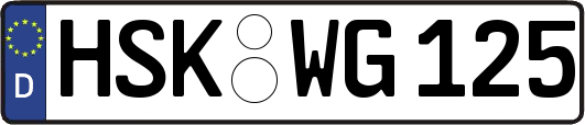 HSK-WG125