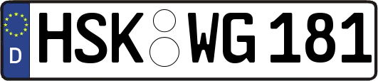 HSK-WG181