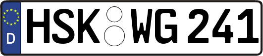 HSK-WG241