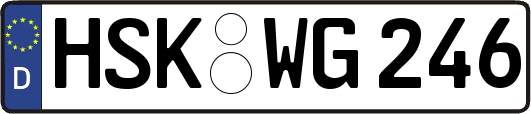 HSK-WG246