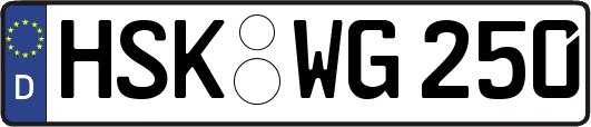 HSK-WG250