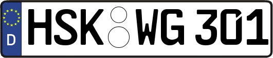 HSK-WG301