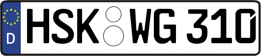 HSK-WG310