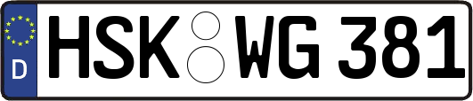 HSK-WG381