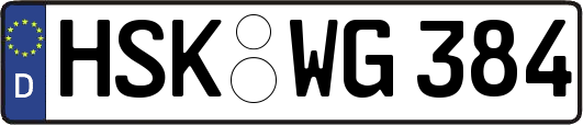 HSK-WG384