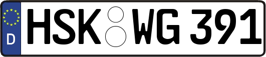 HSK-WG391