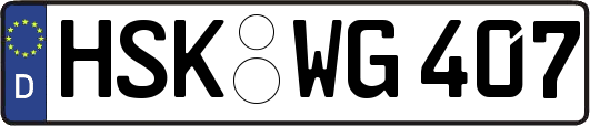 HSK-WG407