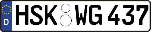 HSK-WG437