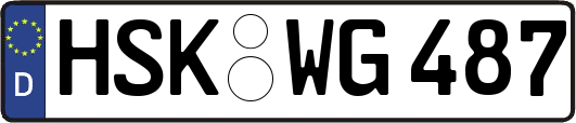 HSK-WG487