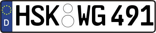 HSK-WG491