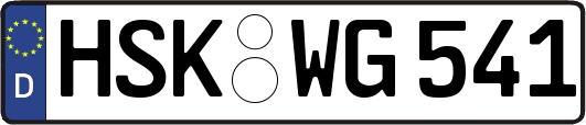 HSK-WG541