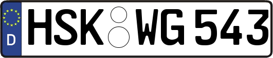 HSK-WG543