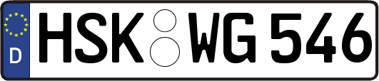 HSK-WG546