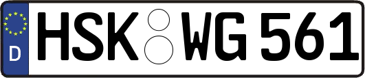 HSK-WG561