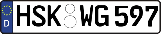 HSK-WG597