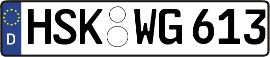 HSK-WG613