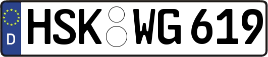 HSK-WG619