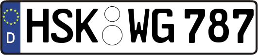 HSK-WG787