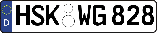 HSK-WG828