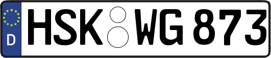 HSK-WG873