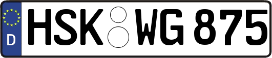 HSK-WG875