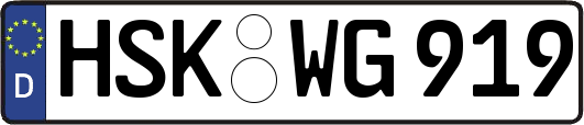HSK-WG919