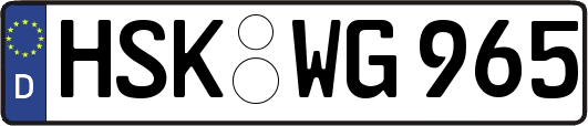 HSK-WG965
