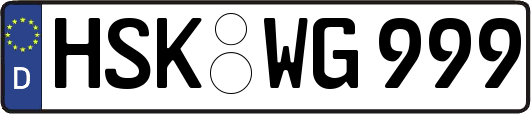 HSK-WG999