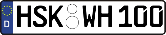 HSK-WH100