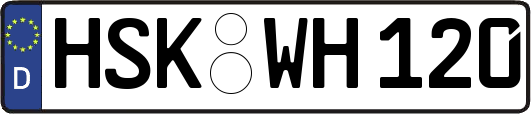 HSK-WH120