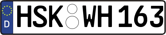 HSK-WH163