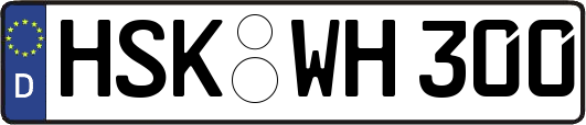 HSK-WH300