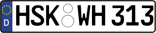 HSK-WH313
