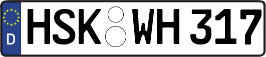 HSK-WH317